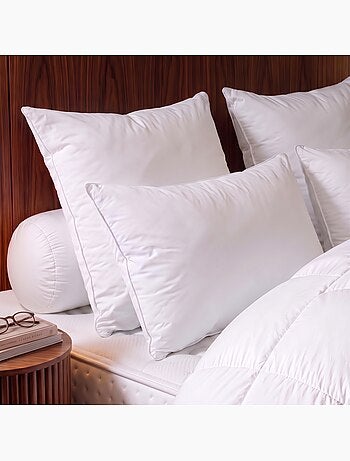 Oreiller tradition canard - 50% duvet - medium - dodo
