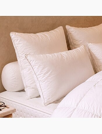 Oreiller tradition canard - 90% duvet - medium - dodo
