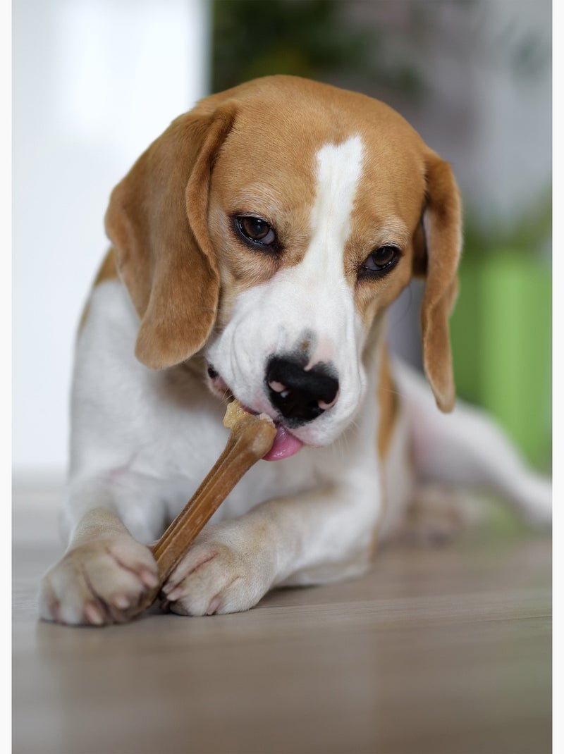 Os pressé à mâcher 15 cm en cuir Beige - Kiabi