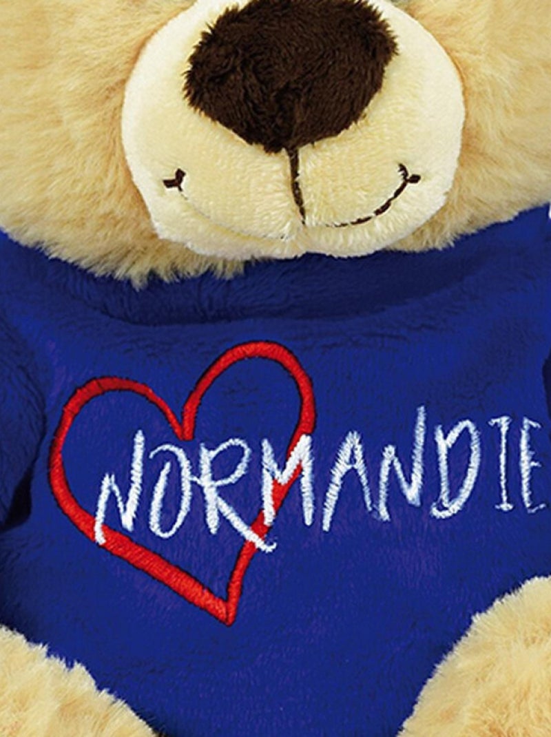 Ours Message Normandie-Bleu Peluche 25cm Multicolore - Kiabi