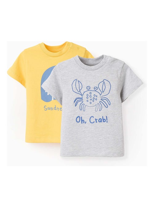 Pack 2 T-shirts en Coton - Kiabi