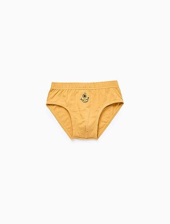 Pack 5 Culottes Monstres des Émotions