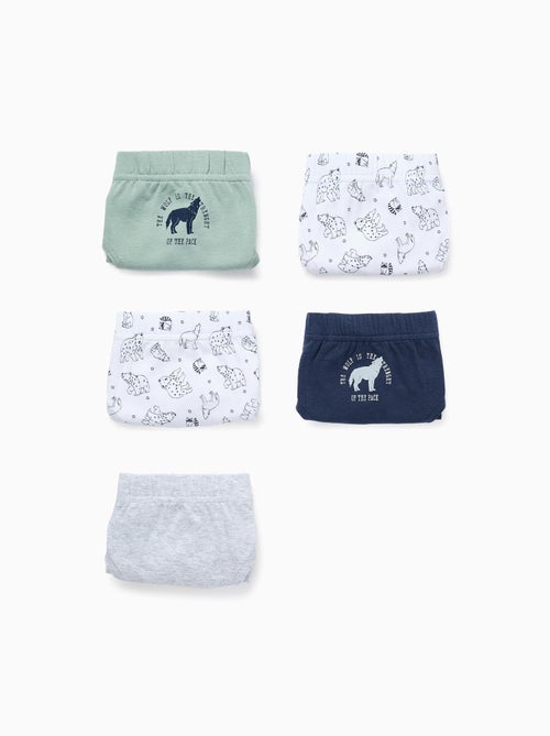 Pack 5 Culottes - Kiabi