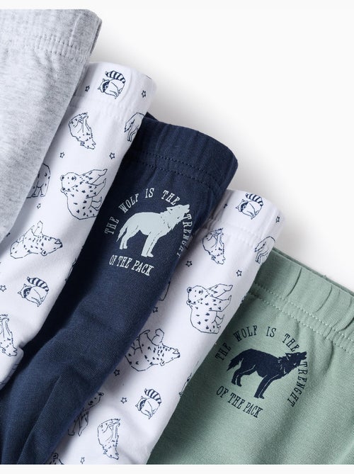 Pack 5 Culottes - Kiabi