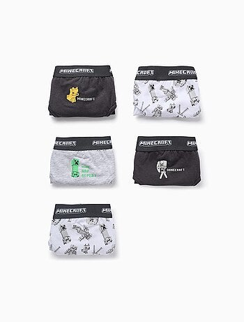 Pack 5 Slips Minecraft