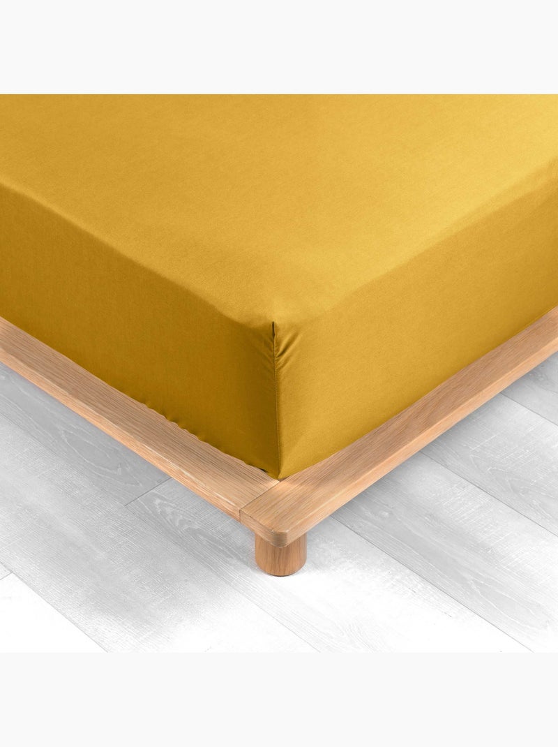 Pack complet housse de couette percale 78 fils pour lit 140 x 190 cm Safran - Kiabi