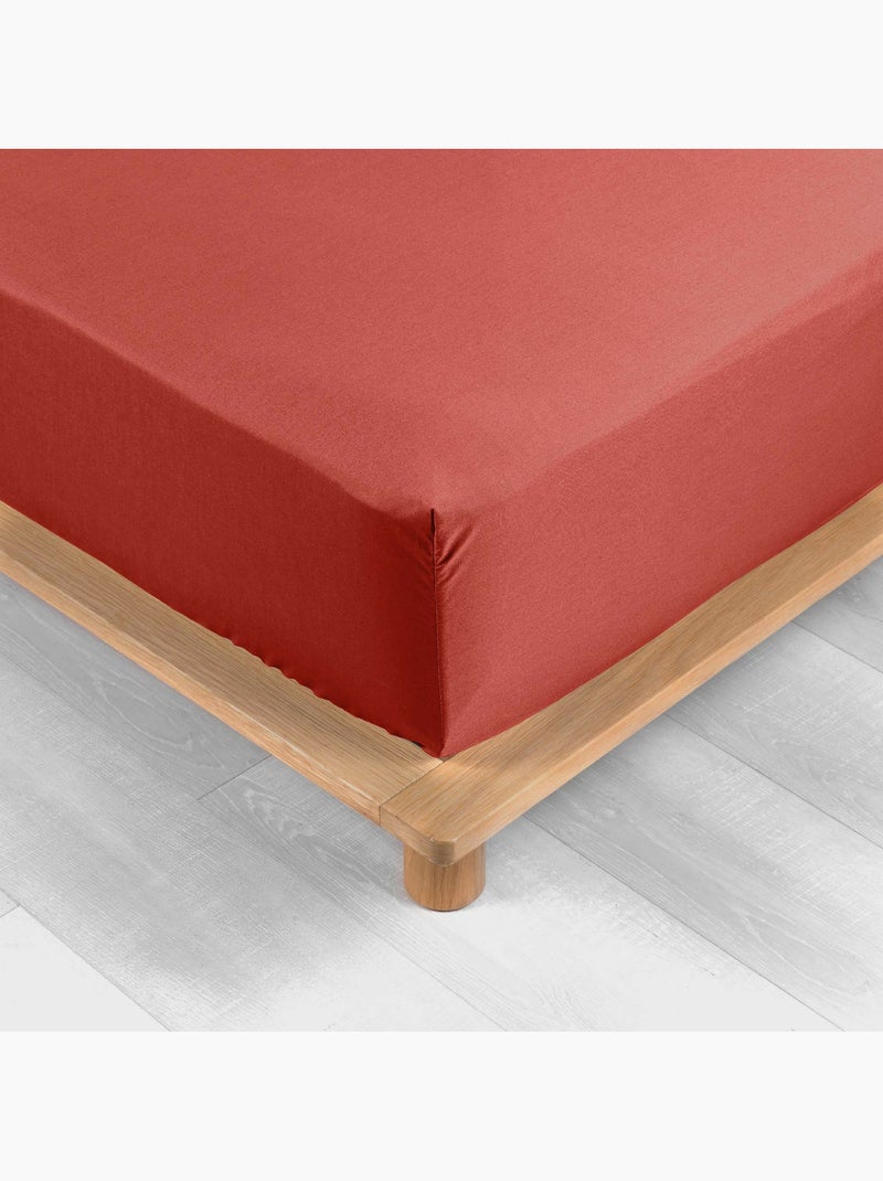 Pack complet housse de couette percale 78 fils pour lit 140 x 190 cm Terracotta - Kiabi