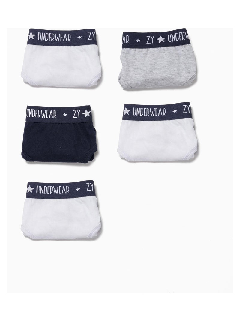 Pack de cinq culottes en tissu 100% coton ESSENTIALS LINE Multicolore - Kiabi