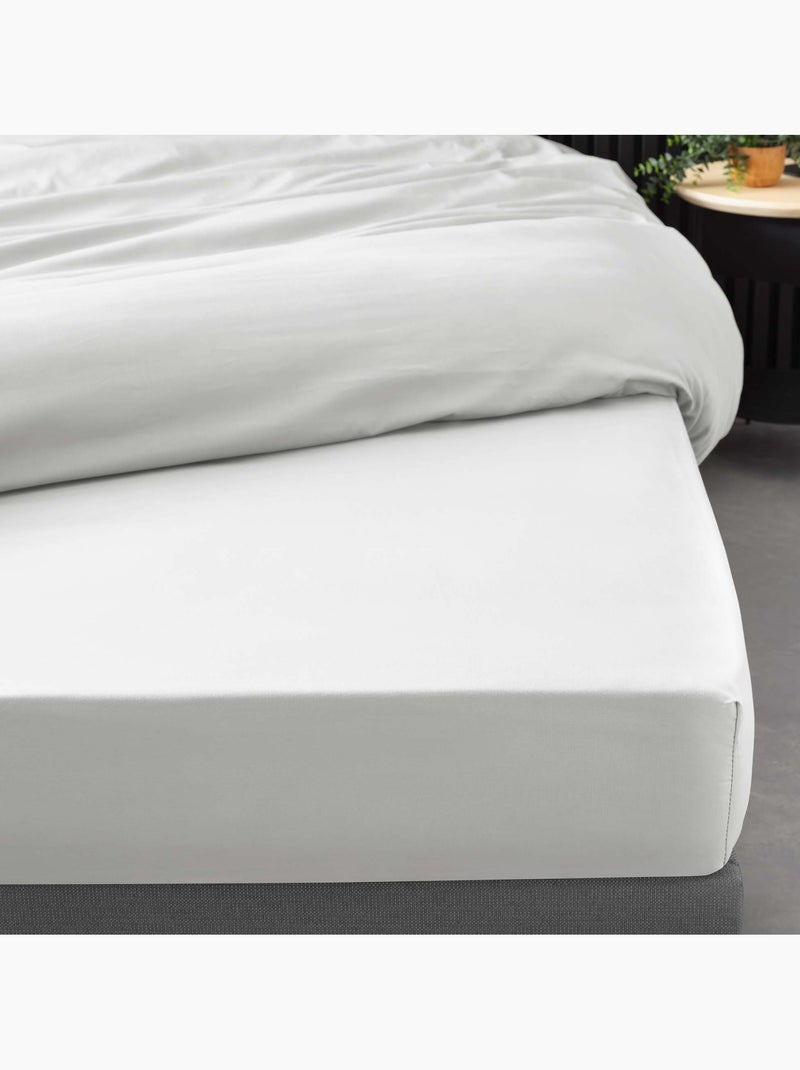 Pack drap housse king size + 2 taies en percale 78 fils Blanc - Kiabi