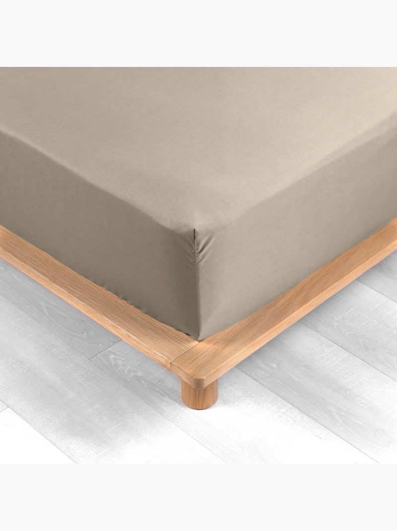 Pack drap housse king size + 2 taies en percale 78 fils Sable - Kiabi