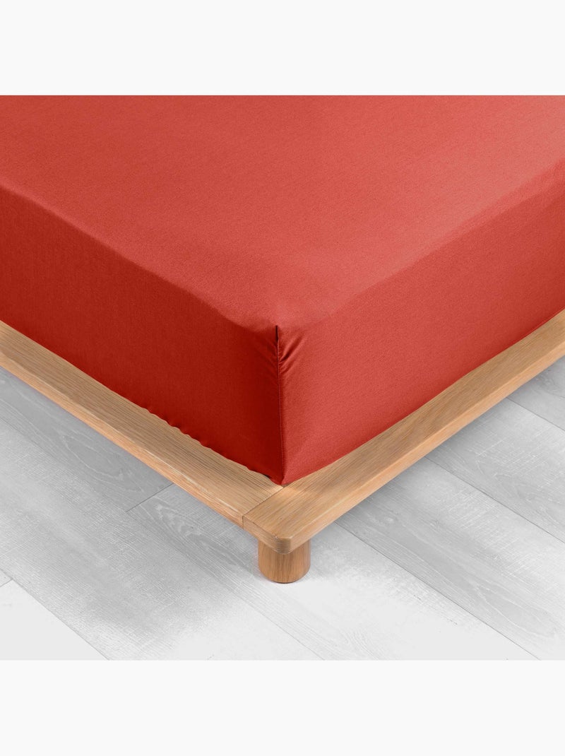 Pack drap housse king size + 2 taies en percale 78 fils Tomette - Kiabi