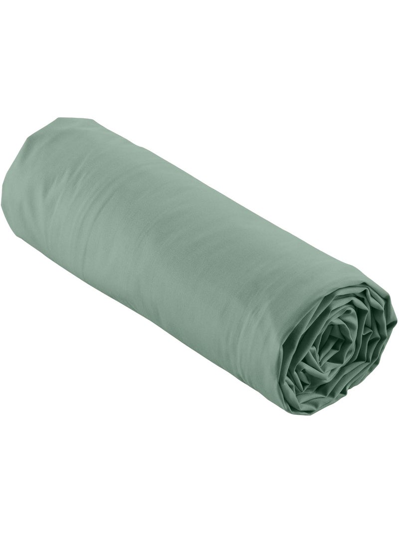 Pack drap housse king size + 2 taies en percale 78 fils Vert tilleul - Kiabi