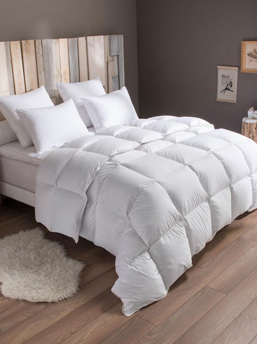 Pack Duvet Couette chaude + Oreiller -50% duvet de canard - DODO - Kiabi