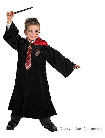 Pack Lunettes Baguette Cravate Harry Potter