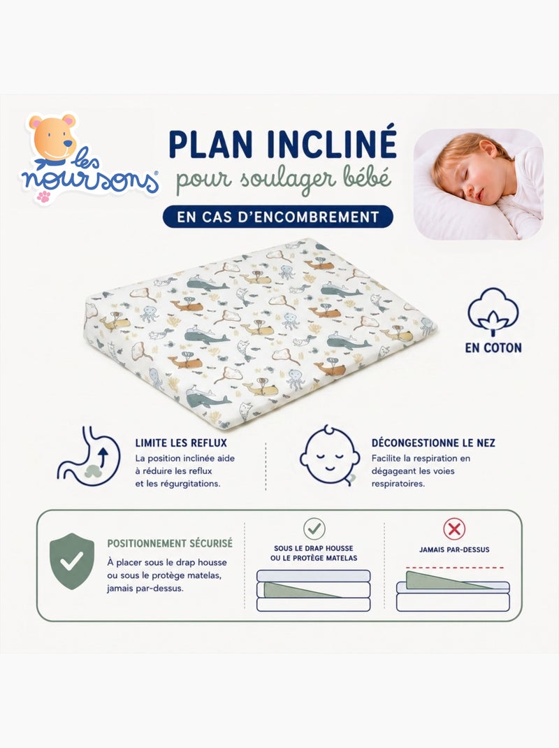 Pack matelas bébé 60x120 cm + plan incliné coton - confort souple et position idéale Blanc Beige Bleu - Kiabi