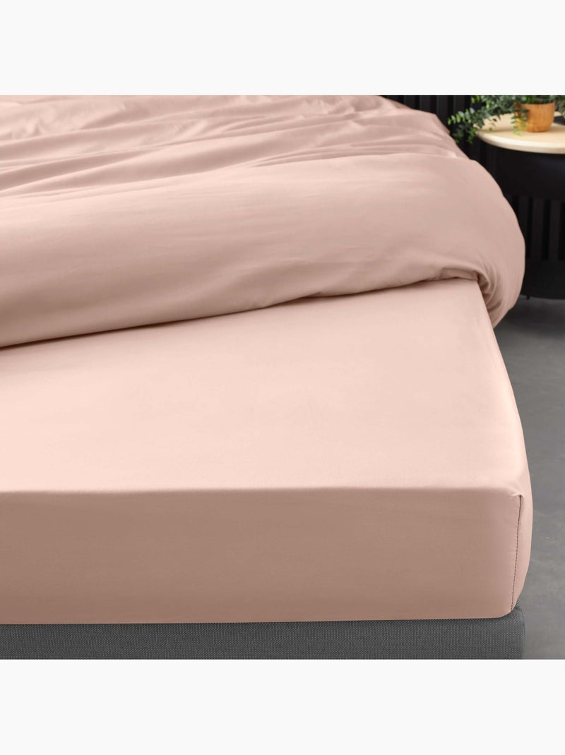 Pack Parure de Lit Percale Unie 78 Fils + Drap-Housse Nude - Kiabi