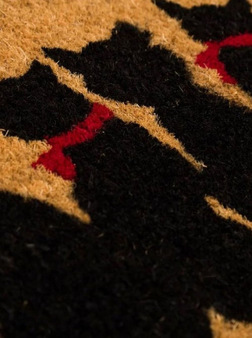 Paillasson en fibres de coco chats - Kiabi