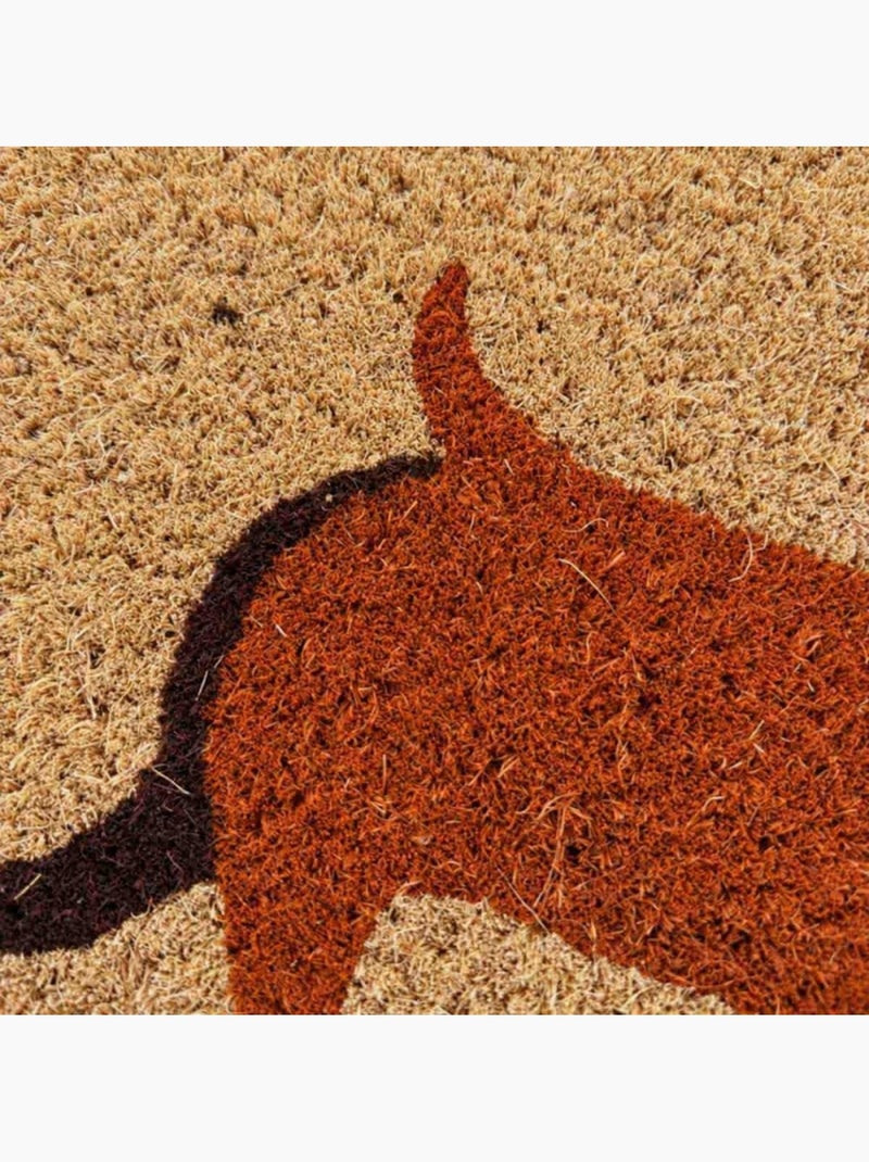 Paillasson imprimé teckel en fibres de coco 40x60cm Marron - Kiabi