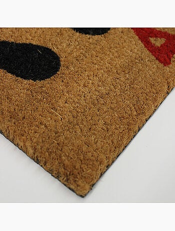 Paillasson rectangle 40 x 60 cm coco imprime bienvenue
