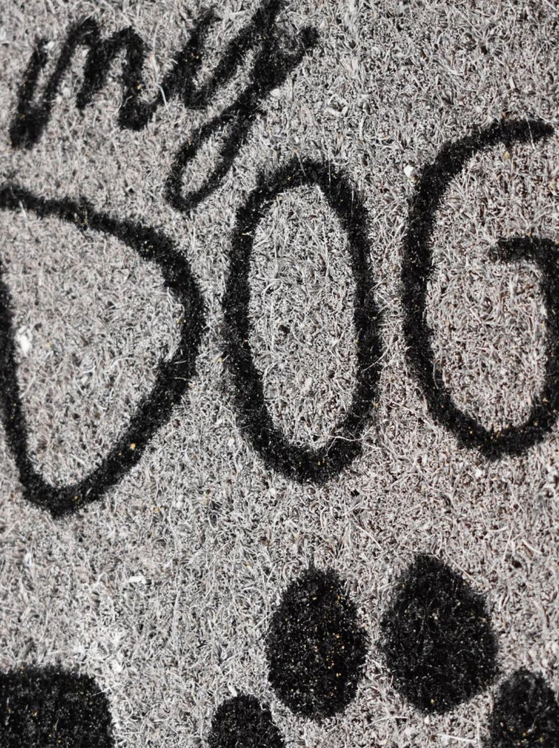 Paillasson tissé en coco motif animaux CHIEN Gris - Kiabi
