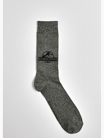 Paire de chaussettes, Jurassic World - AFIBEL