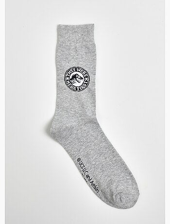 Paire de chaussettes, Jurassic World - AFIBEL