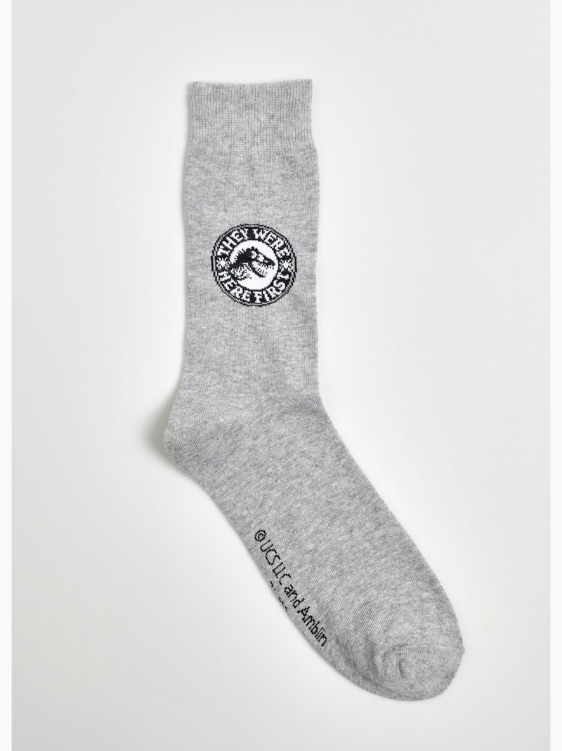 Paire de chaussettes, Jurassic World - AFIBEL Gris - Kiabi
