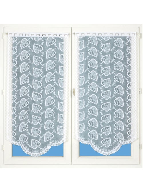 Paire de vitrages dentelle base arrondie feuilles - Kiabi