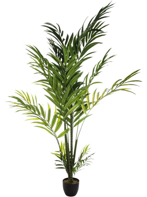 Palmier areca artificiel - Kiabi