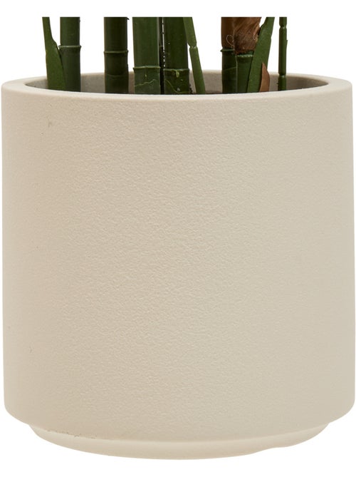 Palmier artificielle 187cm MERLO - Kiabi