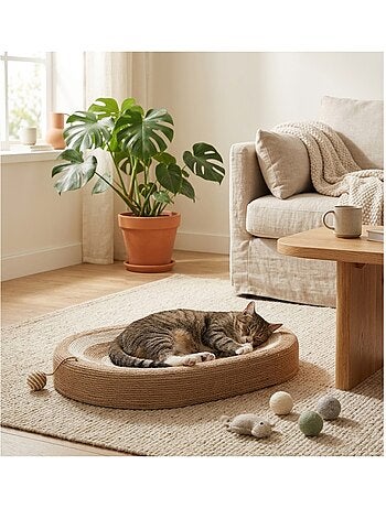 Panier a griffer ovale pour chat avec balle