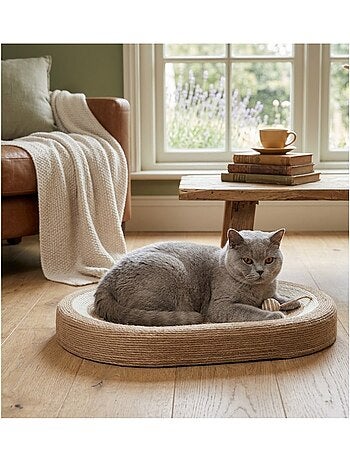 Panier a griffer ovale pour chat avec balle