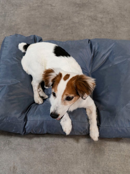 Panier chien déhoussable 75x50x10 cm gris - Kiabi Panier chien déhoussable 75x50x10 cm gris - Kiabi