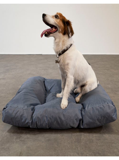 Panier chien déhoussable 75x50x10 cm gris - Kiabi Panier chien déhoussable 75x50x10 cm gris - Kiabi