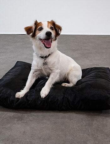 Panier chien déhoussable 75x50x10 cm noir