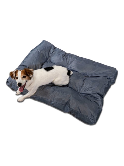 Panier chien déhoussable 90x65x10 cm gris - Kiabi