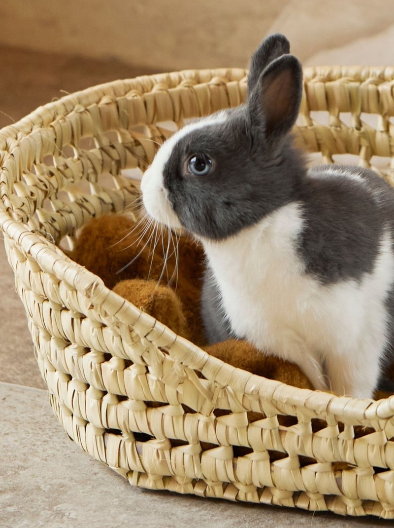 Panier Osier pour petit chien Bois naturel - Kiabi