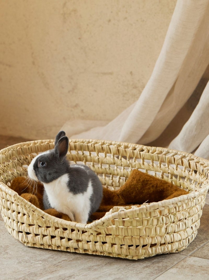 Panier Osier pour petit chien Bois naturel - Kiabi