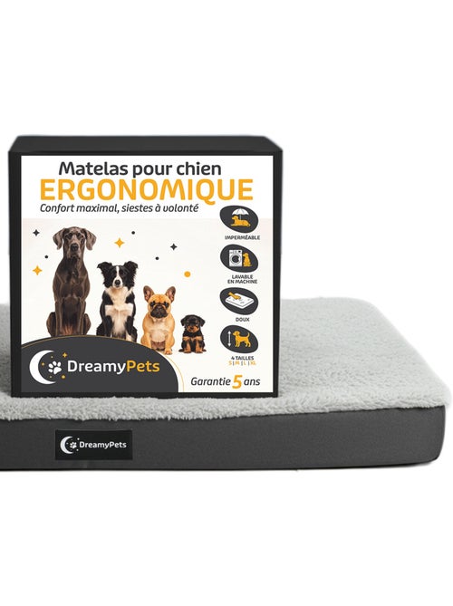 Panier / Tapis pour Chien - Coussin Imperméable - Matelas Déhoussable - Ergonomique - Kiabi