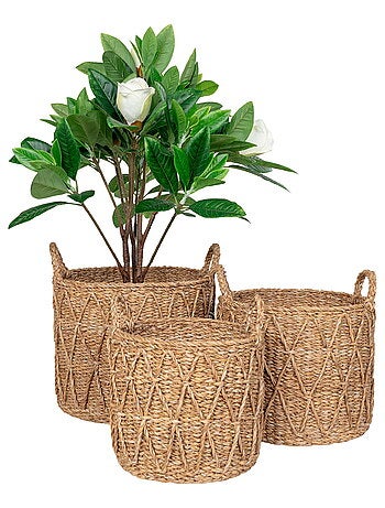 Paniers Krabi - Paniers en jonc de mer, naturel, lot de 3