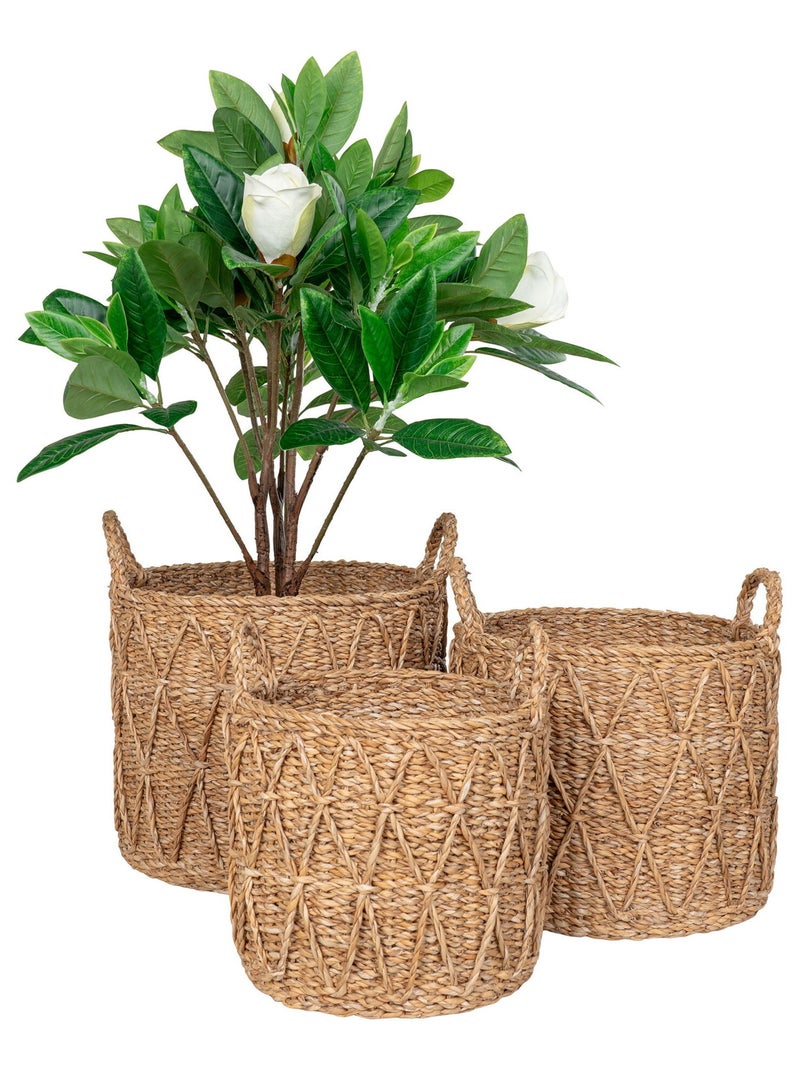 Paniers Krabi - Paniers en jonc de mer, naturel, lot de 3 Beige - Kiabi