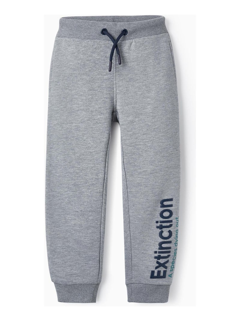 Pantalon de sport pour garçon 'Extinction'   DIFFERENT TOGETHER Gris - Kiabi