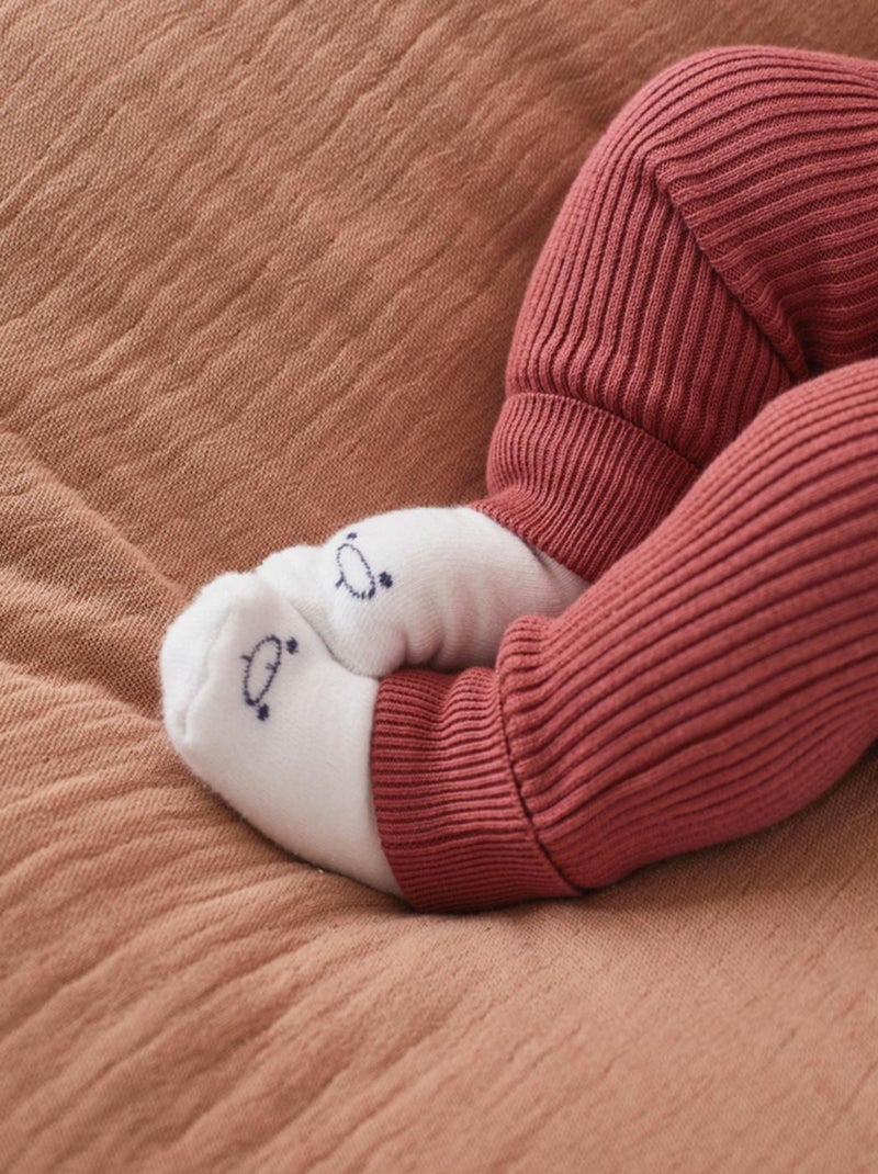 Pantalon en tricot, lie de vin Noukie's Rouge - Kiabi