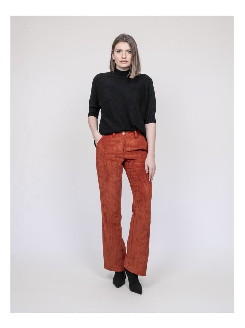 Pantalon velours côtelé ELIO Rouge brique - Kiabi