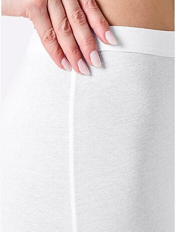 Panty Jersey Fin - Taille Standard - Witt - Lot de 3