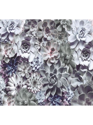 Papier Peint - Bouquet Floral - 368 x 254 cm