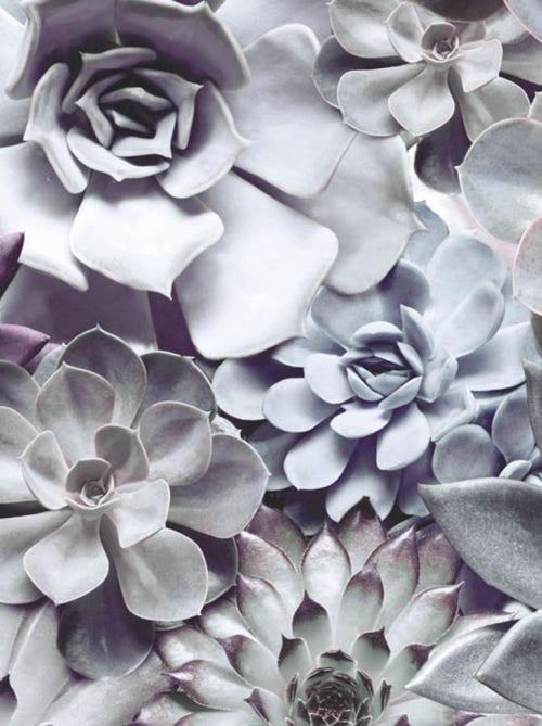 Papier Peint - Bouquet Floral - 368 x 254 cm - Kiabi