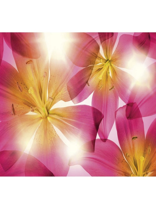 Papier Peint - Fleurs et Soleil - 368 x 254 cm - Kiabi