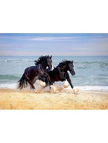 Papier Peint chevaux noirs galopant sur la plage- 360 x 254 cm