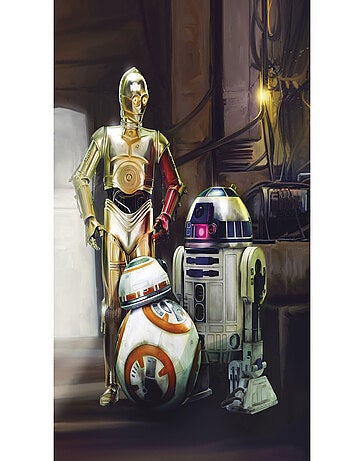 Papier Peint droïde Star Wars Le Réveil de la Force les 3 robots C3PO, R2D2 et BB-8 taille 254X184 C
